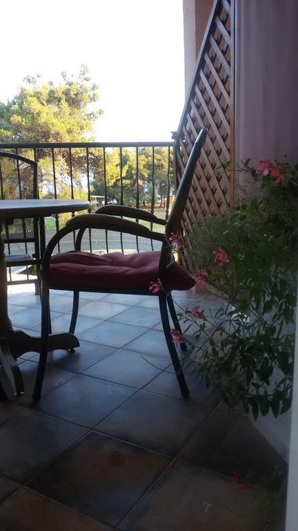 Apartments Blanca Vodice Rum bild
